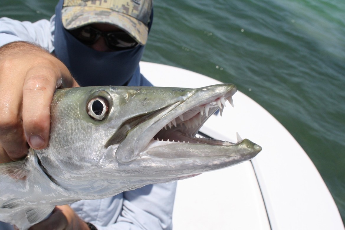 Where to Find the Best Fishing Places in Florida